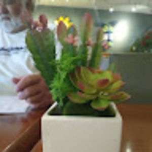 Meet your Posher, Jane